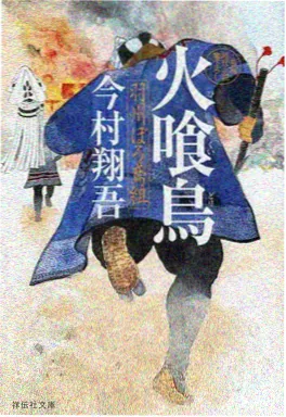天堂视频在线观看 治愈动漫 琉璃巷的猫